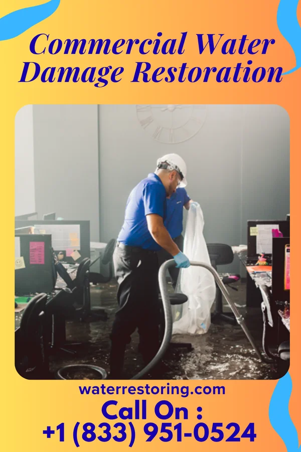 Commercial Water Damage Restoration in Genoa, IL