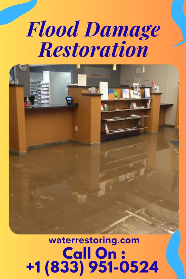 Flood Damage Restoration in Genoa, IL