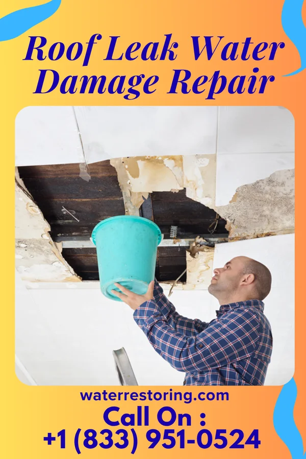 Roof Leak Water Damage Repair in Genoa, IL