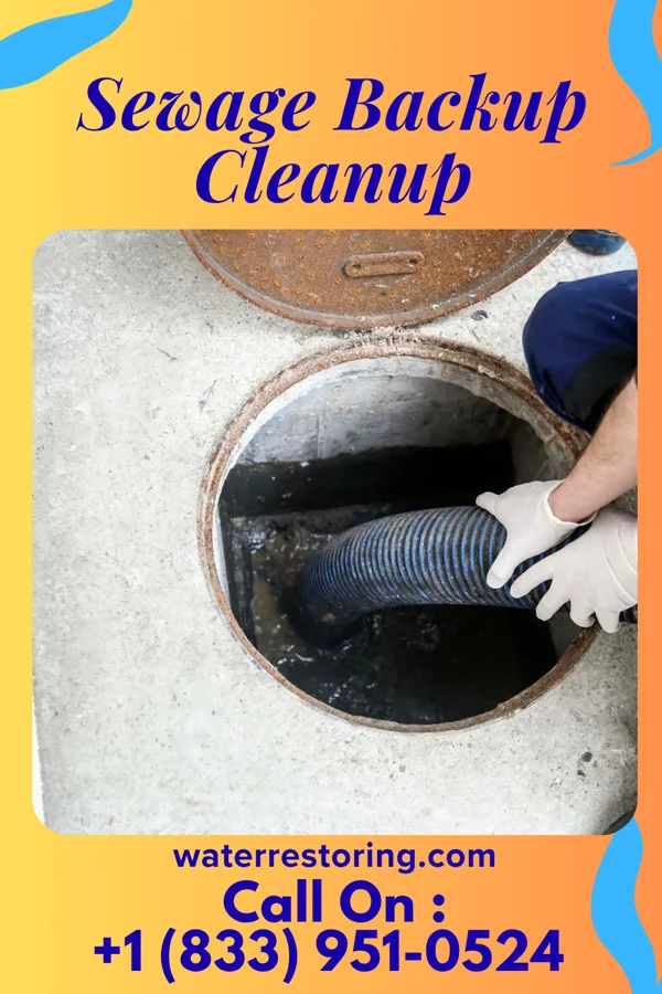 Sewage Backup Cleanup in Genoa, IL