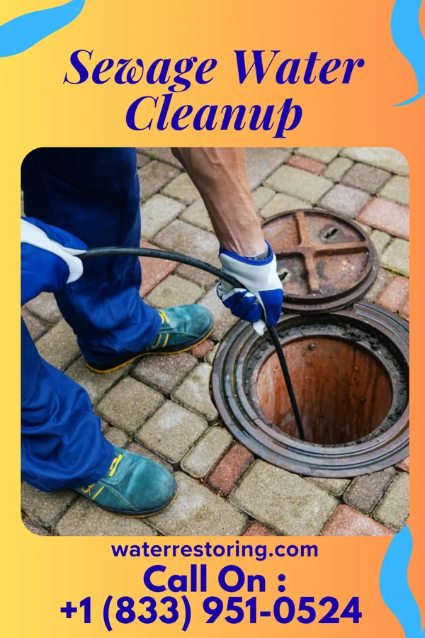 Sewage Water Cleanup in Genoa, IL